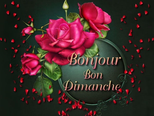 Bon Dimanche