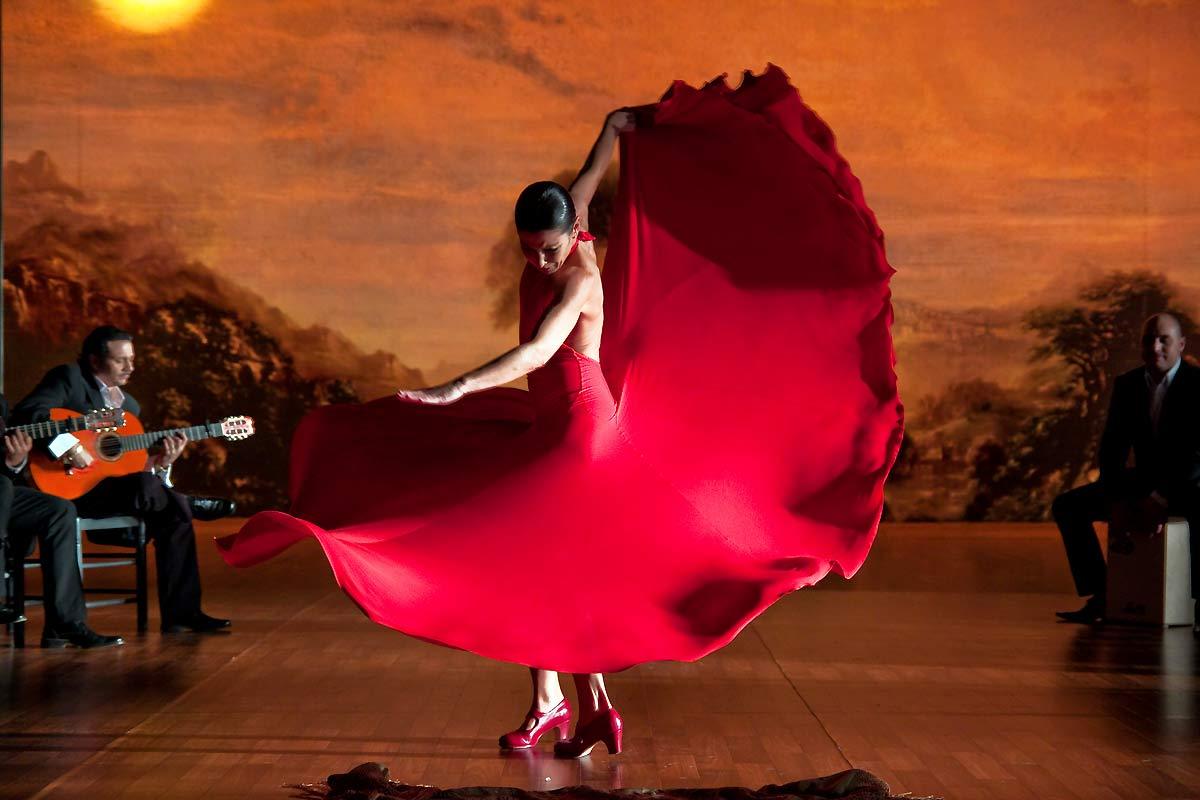 Page De Garde Danseuse Flamenco