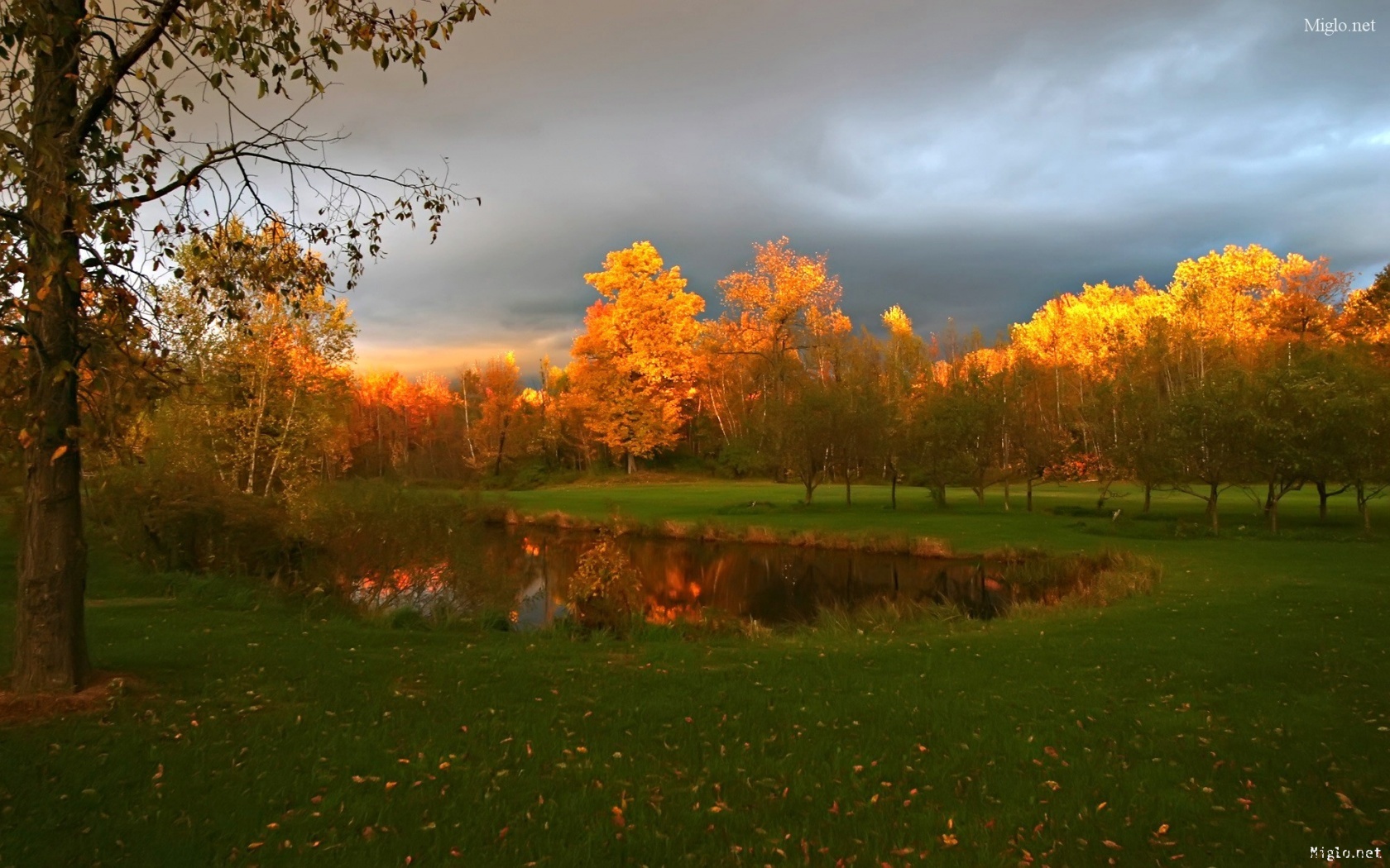 comment est le ciel en automne