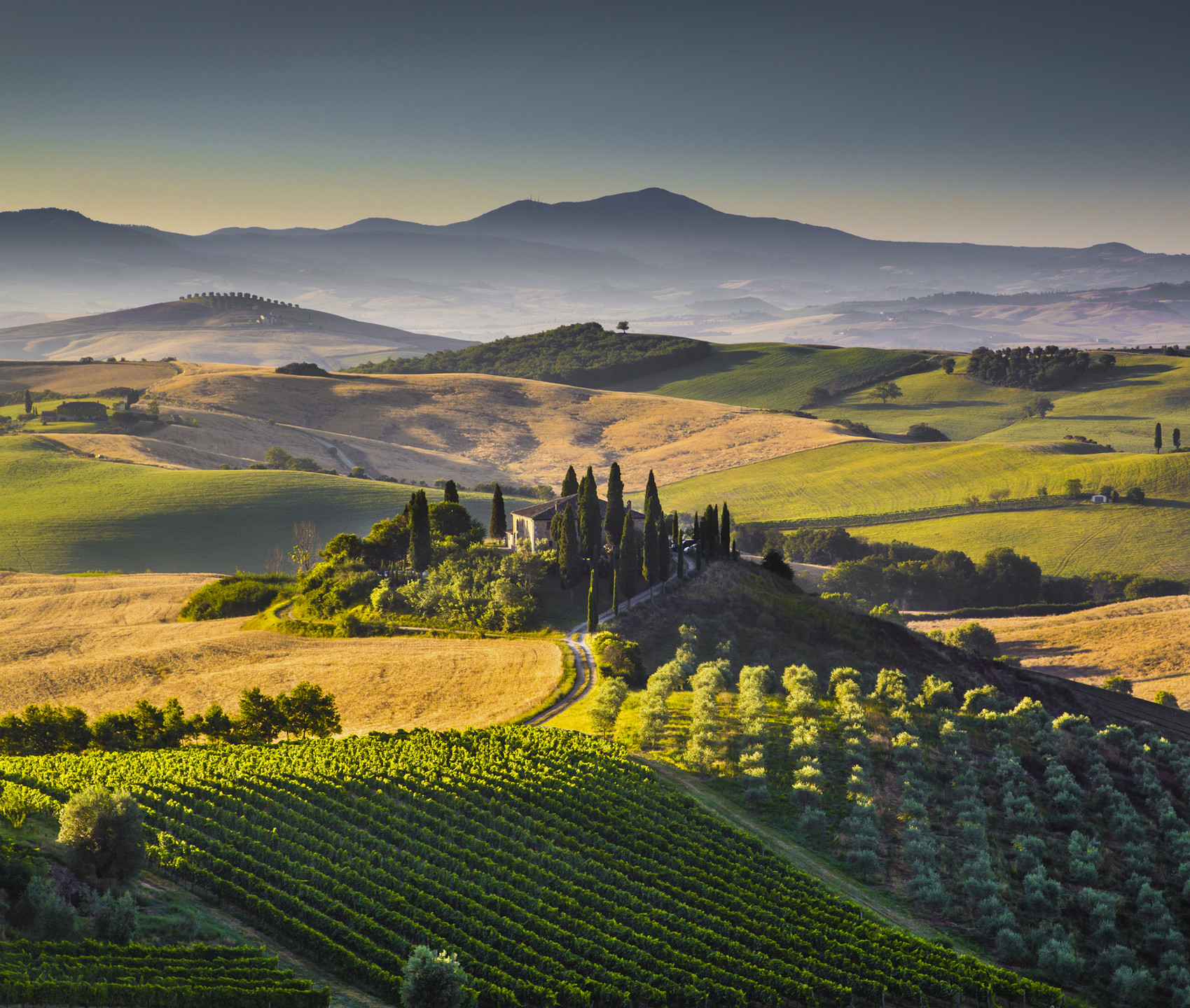 Vignes Toscane Italie 5916