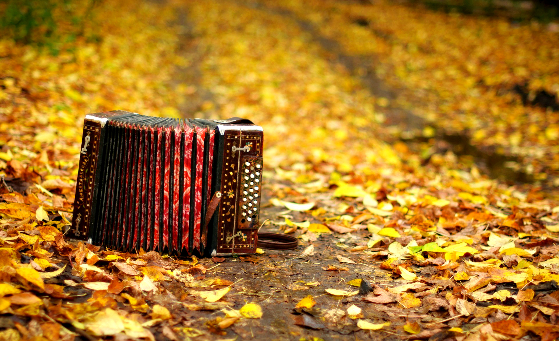 Musique d’automne
