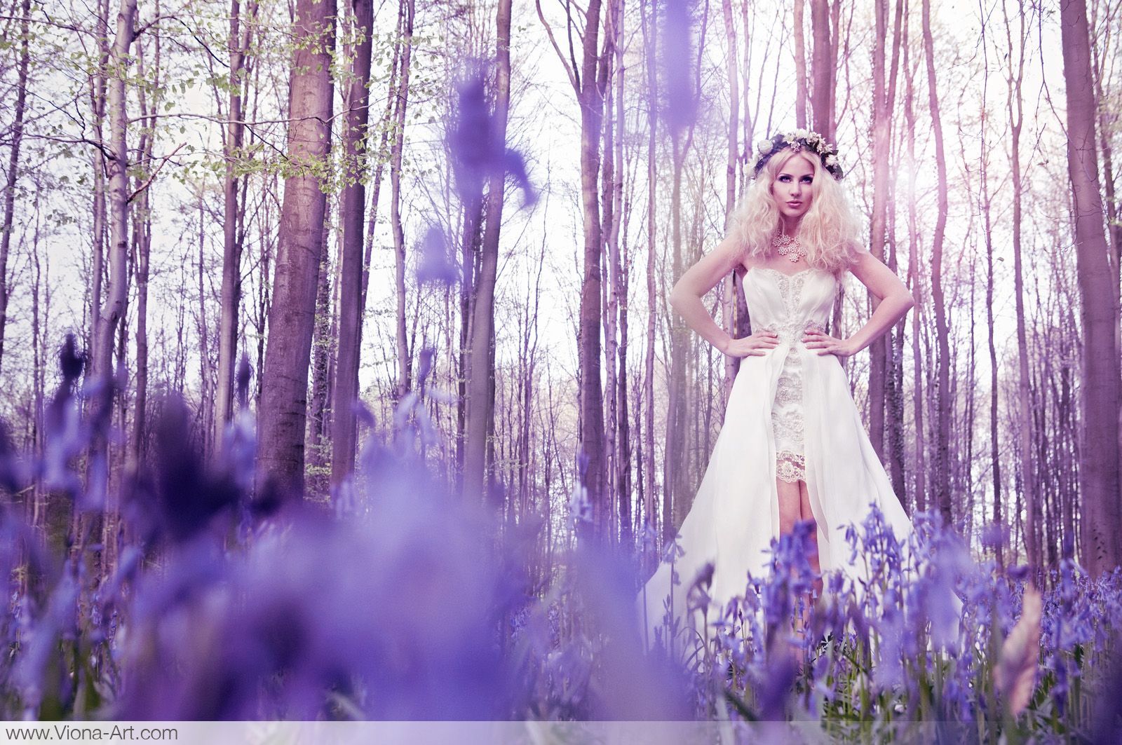 Promenons-nous dans les bois