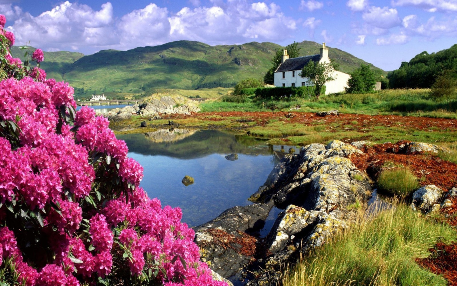 Ecosse