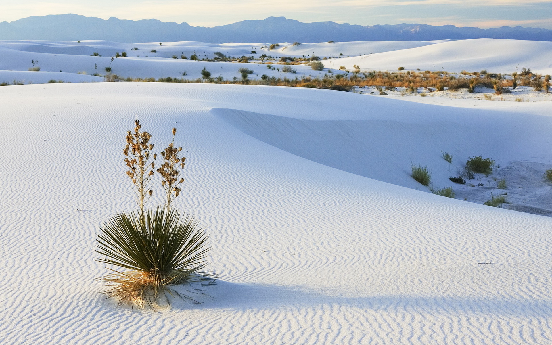D sert De Sable Blanc d-sert-de-sable-blanc