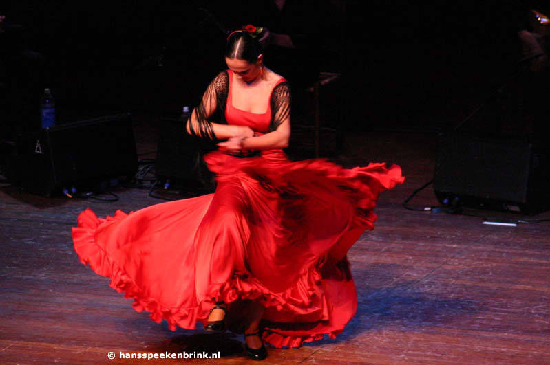 Danseuse de flamenco
